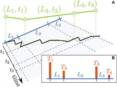 Diffusion Through a Network of Compartments Separated by Partially-Transmitting Boundaries